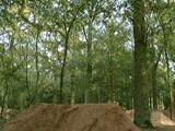 360Paradis.gif (97369 octets)