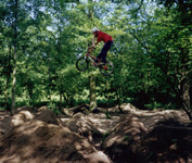 pipetrail15P.jpg (31657 octets)